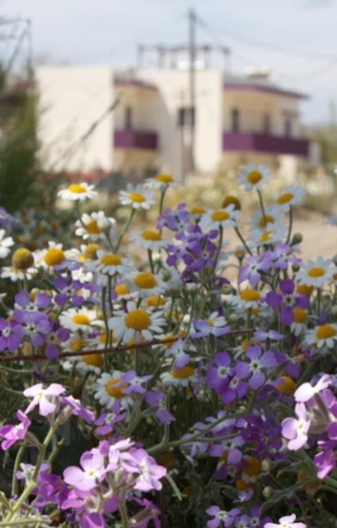דירות סקאלה ארסו Aumkara מראה חיצוני תמונה